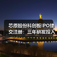 芯原股份科创板IPO提交注册：三年研发投入逾10亿元（图4）