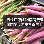 传长江存储64层消费级固态硬盘将于三季度上市（图4）