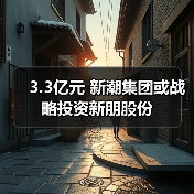 3.3亿元 新潮集团或战略投资新朋股份（图4）