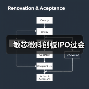 敏芯微科创板IPO过会（图4）