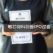 敏芯微科创板IPO过会（图3）
