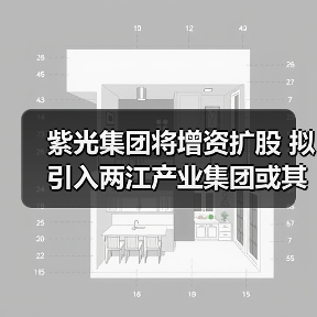 紫光集团将增资扩股 拟引入两江产业集团或其关联方（图2）