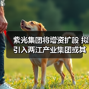 紫光集团将增资扩股 拟引入两江产业集团或其关联方（图4）