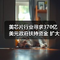 美芯片行业寻求370亿美元政府扶持资金 扩大美国制造能力（图2）