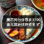 美芯片行业寻求370亿美元政府扶持资金 扩大美国制造能力（图3）