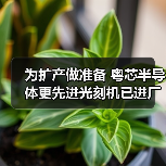 为扩产做准备 粤芯半导体更先进光刻机已进厂（图2）
