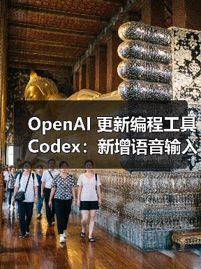 OpenAI 更新编程工具 Codex：新增语音输入 + 联网，向 ChatGPT Plus 用户开放（图4）