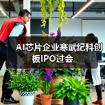AI芯片企业寒武纪科创板IPO过会（图2）