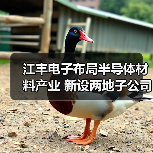 江丰电子布局半导体材料产业 新设两地子公司（图4）