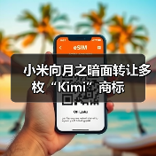 小米向月之暗面转让多枚“Kimi”商标（图2）