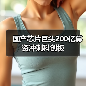 国产芯片巨头200亿募资冲刺科创板