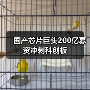 国产芯片巨头200亿募资冲刺科创板（图4）