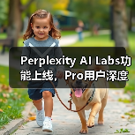 Perplexity AI Labs功能上线，Pro用户深度搜索与代码图像生成（图2）