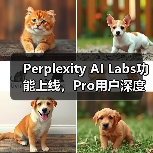 Perplexity AI Labs功能上线，Pro用户深度搜索与代码图像生成（图4）