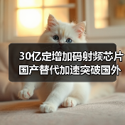 30亿定增加码射频芯片 国产替代加速突破国外垄断（图2）