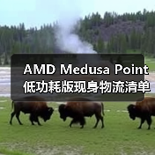 AMD Medusa Point低功耗版现身物流清单（图4）
