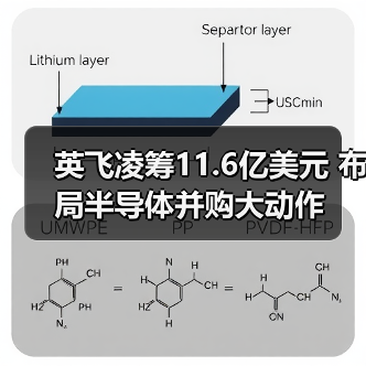 英飞凌筹11.6亿美元 布局半导体并购大动作（图2）