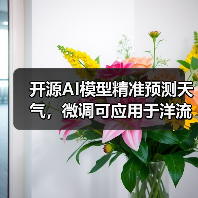 开源AI模型精准预测天气，微调可应用于洋流与空气质量监测