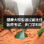 健康大模型通过副主任医师考试，多门学科超合格线（图2）