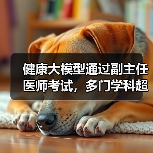 健康大模型通过副主任医师考试，多门学科超合格线（图4）