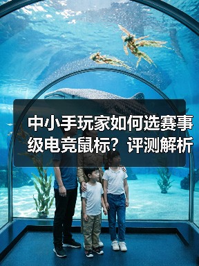 中小手玩家如何选赛事级电竞鼠标？评测解析（图3）
