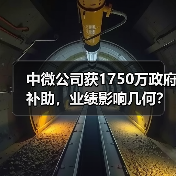 中微公司获1750万政府补助，业绩影响几何？（图4）