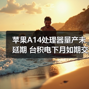 苹果A14处理器量产未延期 台积电下月如期交付（图3）