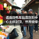 通富微电车载品封测中心主体封顶，世界级绿色标杆如何打造？（图2）
