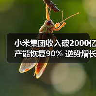 小米集团收入破2000亿产能恢复90% 逆势增长背后有何策略（图3）