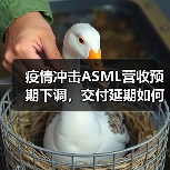 疫情冲击ASML营收预期下调，交付延期如何应对？（图3）