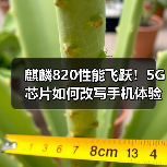 麒麟820性能飞跃!5G芯片如何改写手机体验?(图3) 麒麟820性能飞跃!5G芯片如何改写手机体验?(图3)