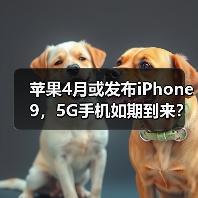 苹果4月或发布iPhone 9,5G手机如期到来?(图3) 苹果4月或发布iPhone 9,5G手机如期到来?(图3)
