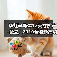 华虹半导体12英寸扩产提速,2019营收新高引关注(图1) 华虹半导体12英寸扩产提速,2019营收新高引关注(图1)