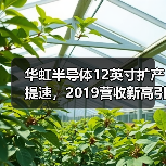 华虹半导体12英寸扩产提速,2019营收新高引关注(图3) 华虹半导体12英寸扩产提速,2019营收新高引关注(图3)
