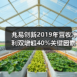 兆易创新2019年营收净利双增超40%关键因素分析(图1) 兆易创新2019年营收净利双增超40%关键因素分析(图1)