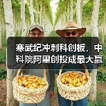 寒武纪冲刺科创板,中科院阿里创投成最大赢家?(图4) 寒武纪冲刺科创板,中科院阿里创投成最大赢家?(图4)
