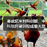 寒武纪冲刺科创板,中科院阿里创投成最大赢家?(图1) 寒武纪冲刺科创板,中科院阿里创投成最大赢家?(图1)