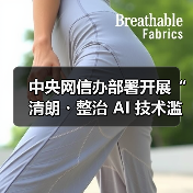 中央网信办部署开展“清朗・整治 AI 技术滥用”专项行动,为期 3 个月(图3) 中央网信办部署开展“清朗・整治 AI 技术滥用”专项行动,为期 3 个月(图3)