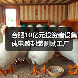 合肥10亿元投资建设集成电路封装测试工厂(图2) 合肥10亿元投资建设集成电路封装测试工厂(图2)