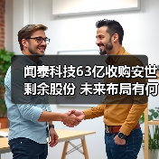 闻泰科技63亿收购安世剩余股份 未来布局有何看点？（图4）