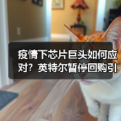 疫情下芯片巨头如何应对?英特尔暂停回购引关注(图2) 疫情下芯片巨头如何应对?英特尔暂停回购引关注(图2)