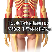 TCL拿下中环集团100%股权 半导体材料布局加速(图1) TCL拿下中环集团100%股权 半导体材料布局加速(图1)