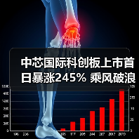 中芯国际科创板上市首日暴涨245% 乘风破浪引领芯片产业新格局(图4) 中芯国际科创板上市首日暴涨245% 乘风破浪引领芯片产业新格局(图4)