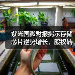 紫光国微财报揭示存储芯片逆势增长,股权转让背后战略动向(图3) 紫光国微财报揭示存储芯片逆势增长,股权转让背后战略动向(图3)