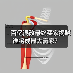 百亿混改最终买家揭晓 谁将成最大赢家?(图1) 百亿混改最终买家揭晓 谁将成最大赢家?(图1)