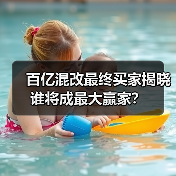 百亿混改最终买家揭晓 谁将成最大赢家?(图4) 百亿混改最终买家揭晓 谁将成最大赢家?(图4)