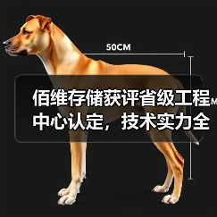 佰维存储获评省级工程中心认定,技术实力全面解析(图1) 佰维存储获评省级工程中心认定,技术实力全面解析(图1)