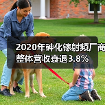 2020年砷化镓射频厂商整体营收衰退3.8%(图2) 2020年砷化镓射频厂商整体营收衰退3.8%(图2)