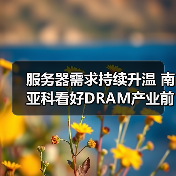 服务器需求持续升温 南亚科看好DRAM产业前景(图3) 服务器需求持续升温 南亚科看好DRAM产业前景(图3)