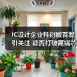 IC设计企业科创板首发引关注 能否打破高端芯片依赖？（图2）